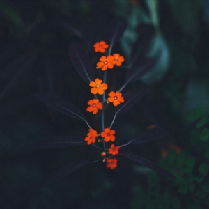 ❌❌白丝美女❌❌❌❌社区
