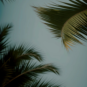 ❌❌白丝美女❌❌❌❌社区
